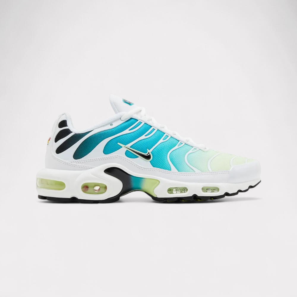 Nike Air Max Plus - Dusty Cactus