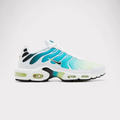 Nike Air Max Plus - Dusty Cactus
