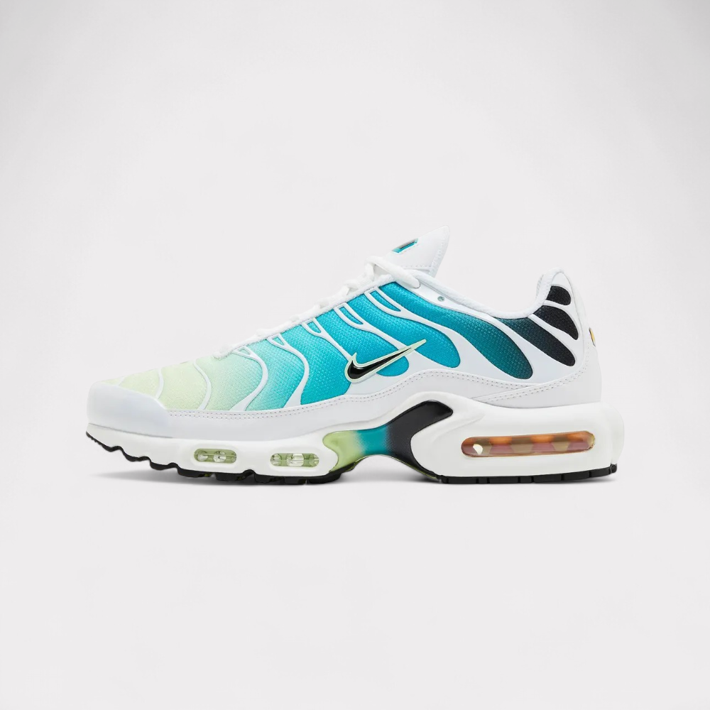 Nike Air Max Plus - Dusty Cactus