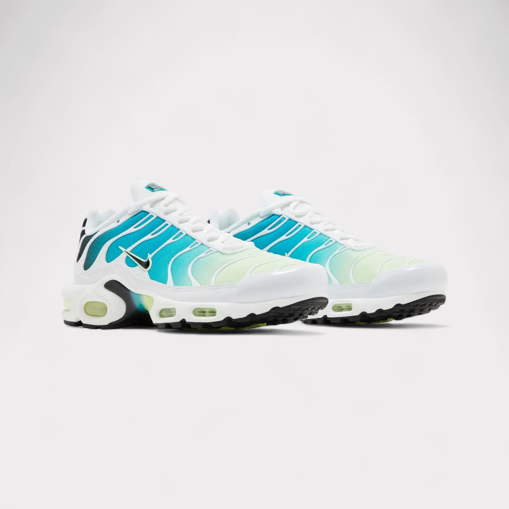 Nike Air Max Plus - Dusty Cactus