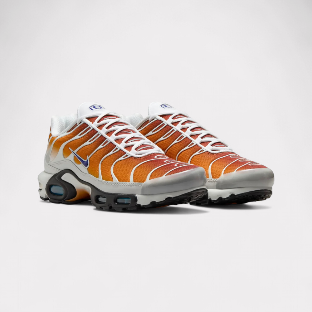 Nike Air Max Plus One Block Down - Chutney