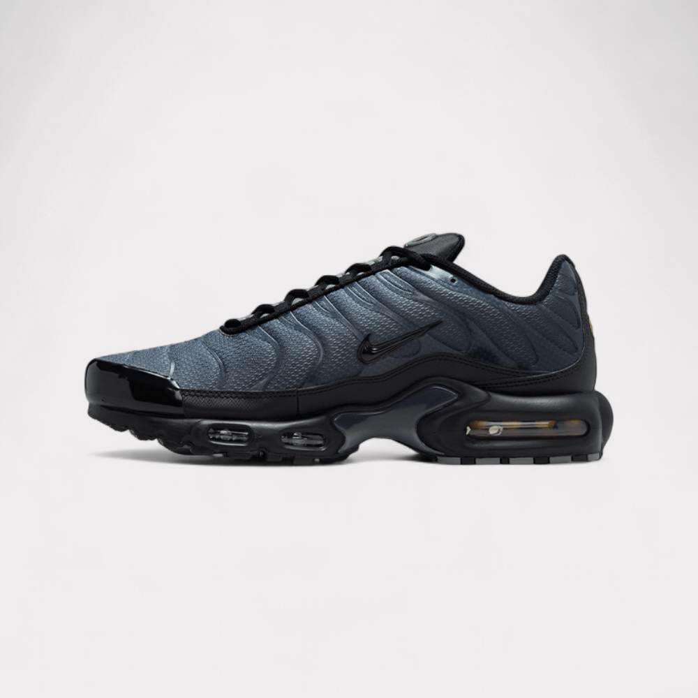 Nike Air Max Plus - PARIS