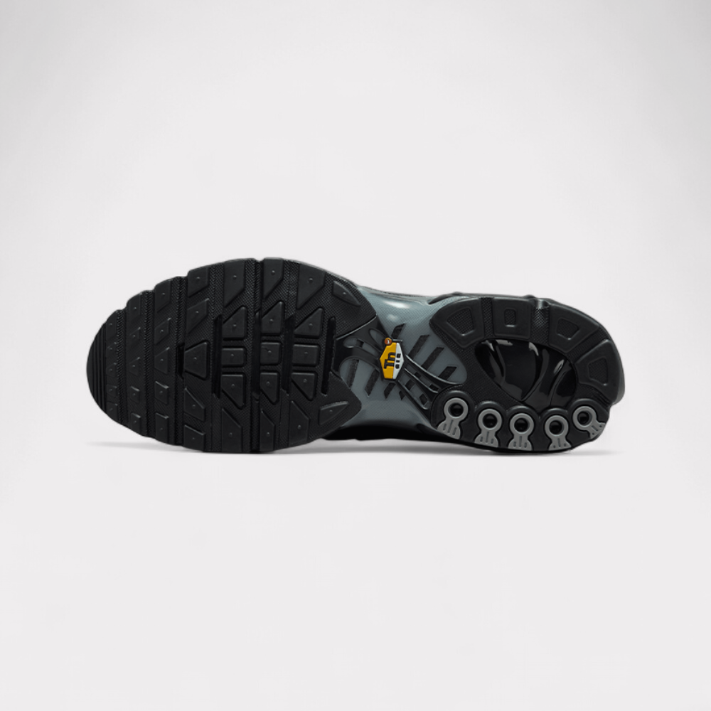 Nike Air Max Plus - PARIS