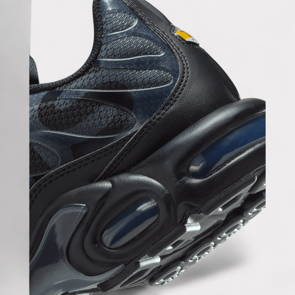 Nike Air Max Plus - PARIS