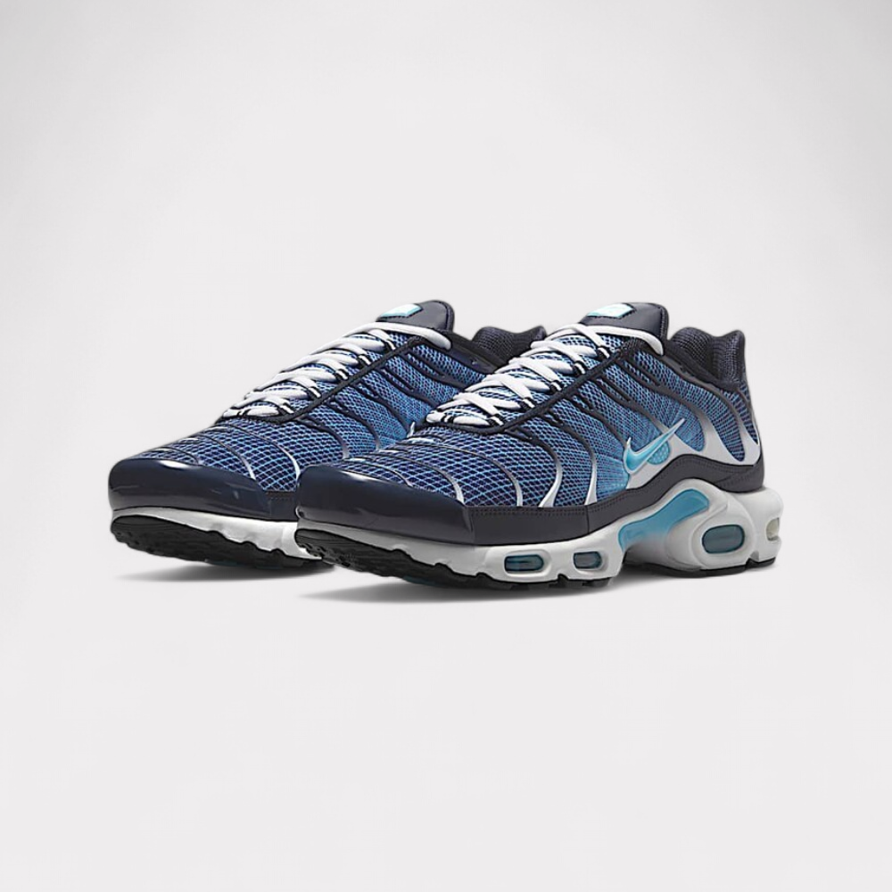 Nike Air Max Plus - Dark Obsidian