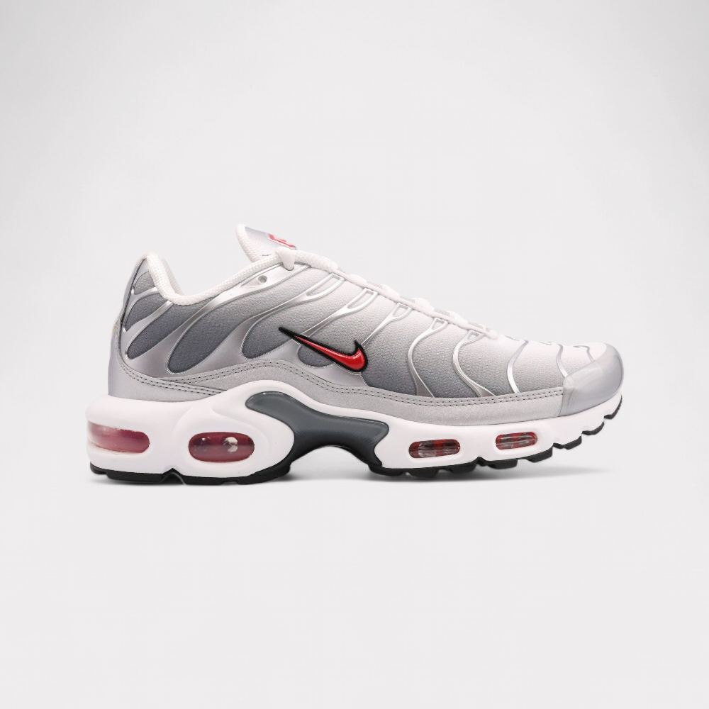 Nike Air Max Plus - Cool Grey