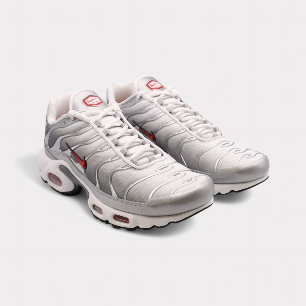 Nike Air Max Plus - Cool Grey