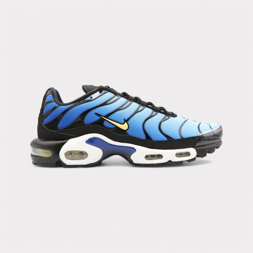 Nike Air Max Plus OG - Hyper Blue (2025)