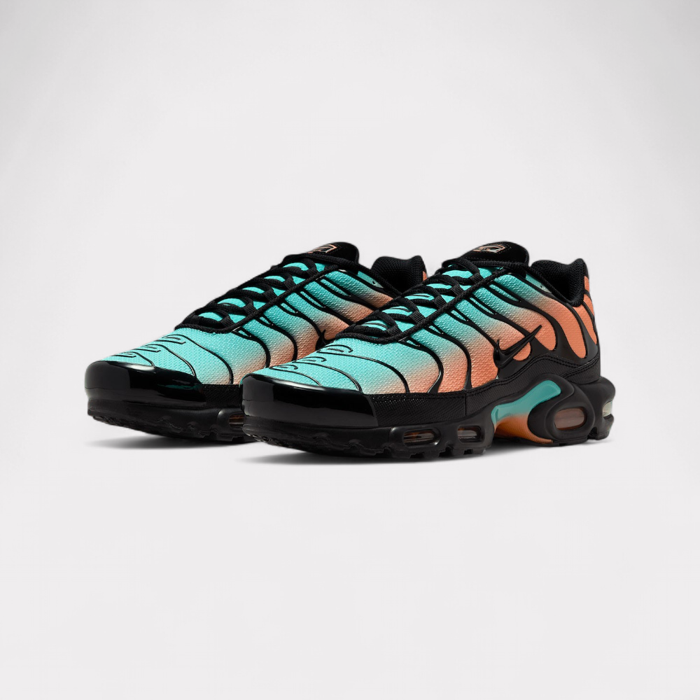 Nike Air Max Plus - South Beach