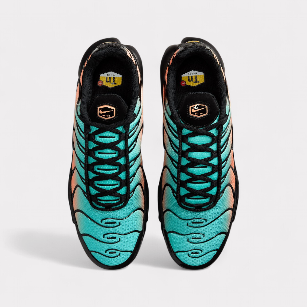 Nike Air Max Plus - South Beach