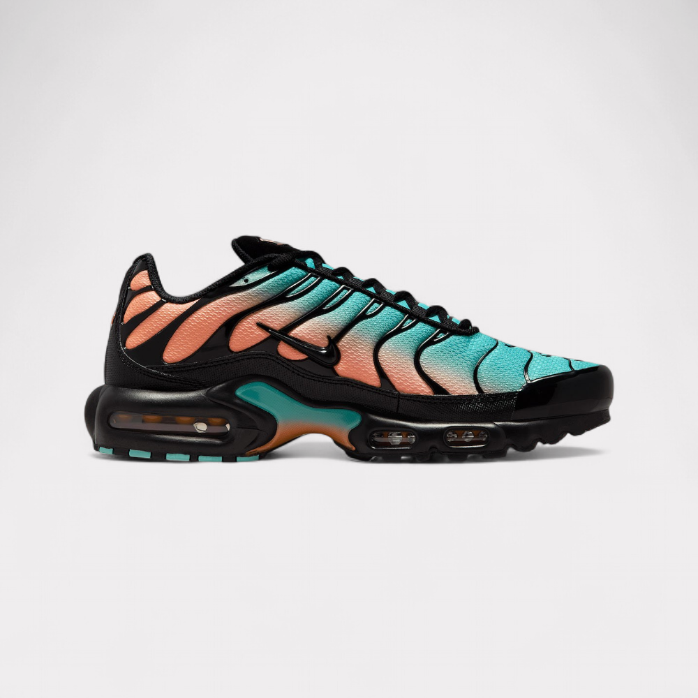 Nike Air Max Plus - South Beach
