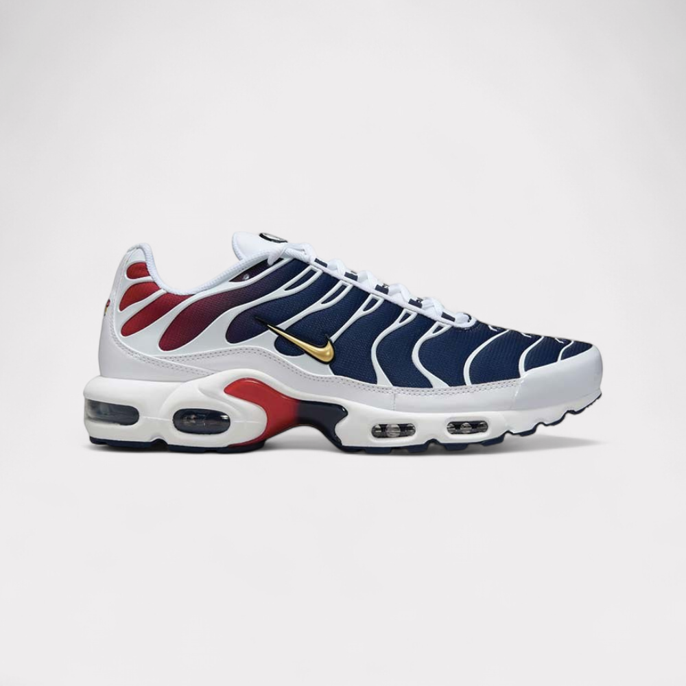 Nike Air Max Plus - PSG