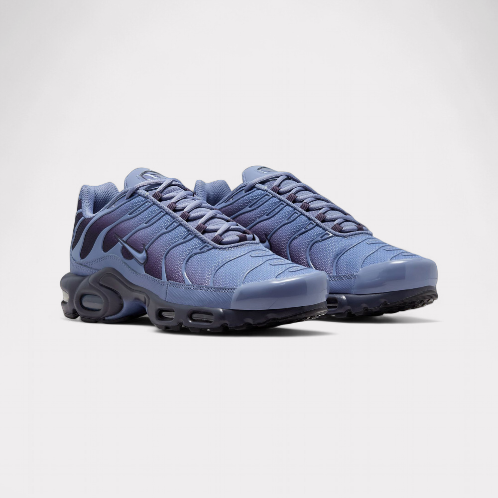 Nike Air Max Plus - World Indigo