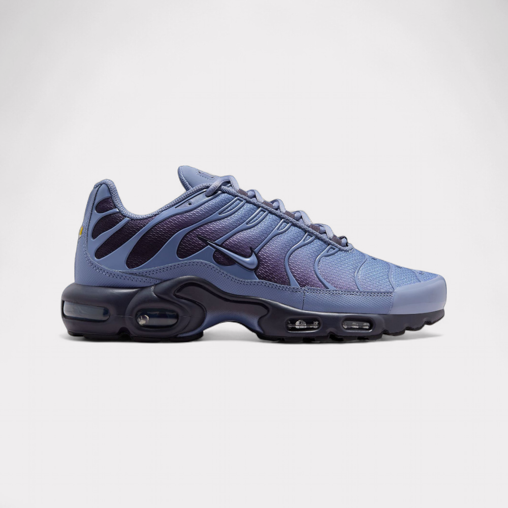 Nike Air Max Plus - World Indigo