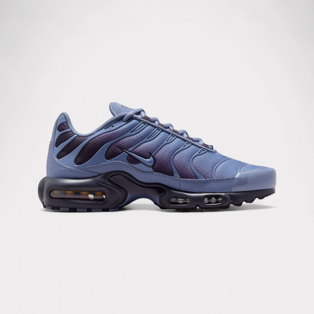 Nike Air Max Plus - World Indigo