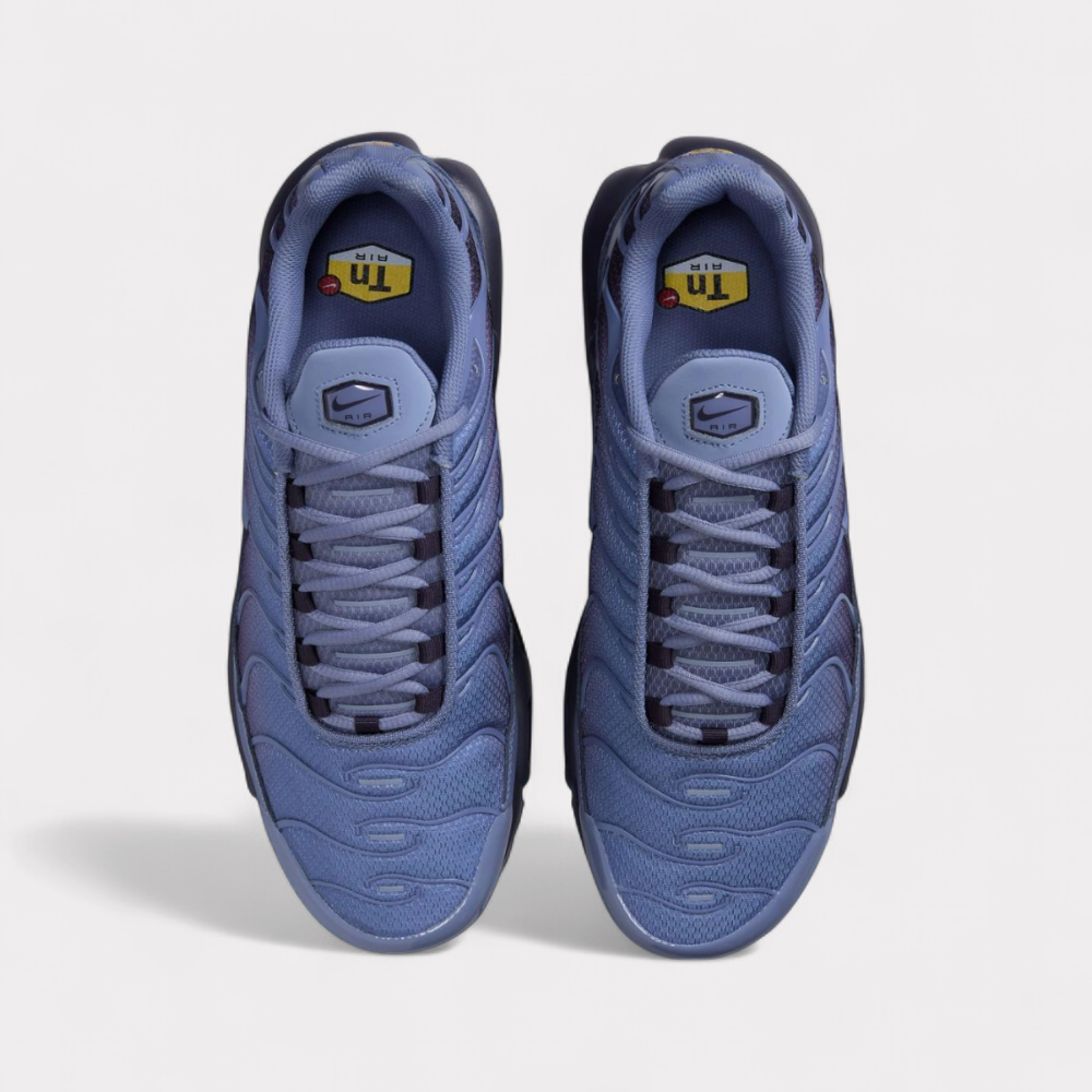Nike Air Max Plus - World Indigo