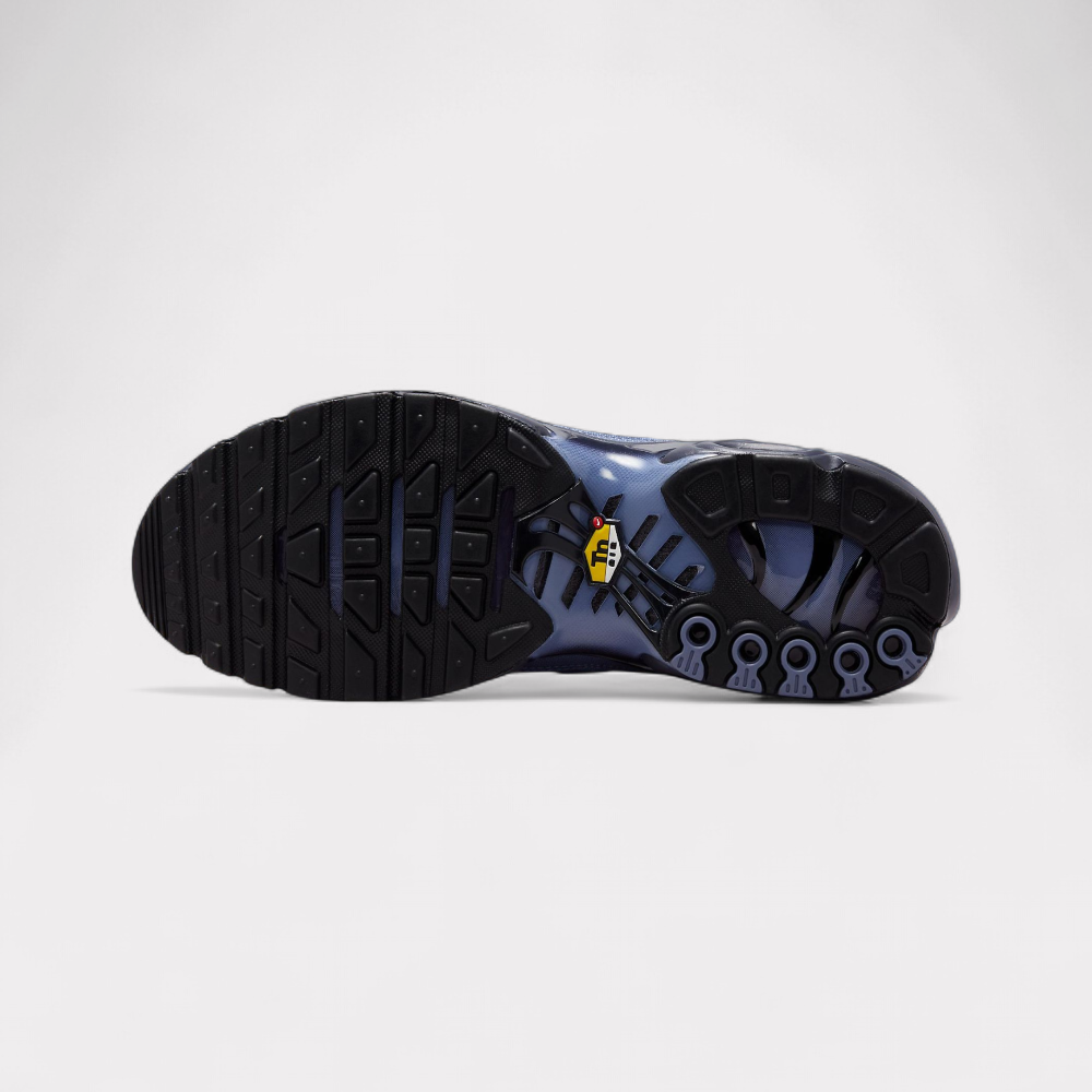 Nike Air Max Plus - World Indigo