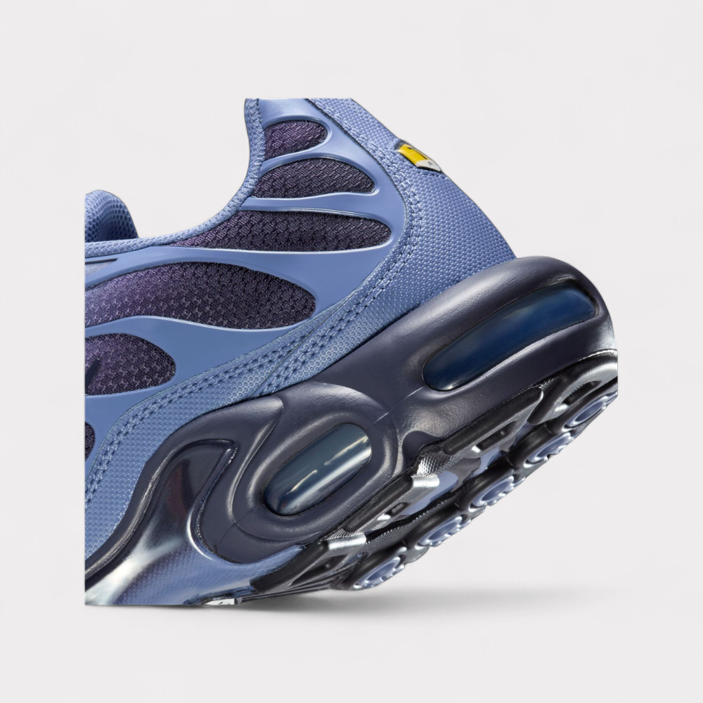 Nike Air Max Plus - World Indigo