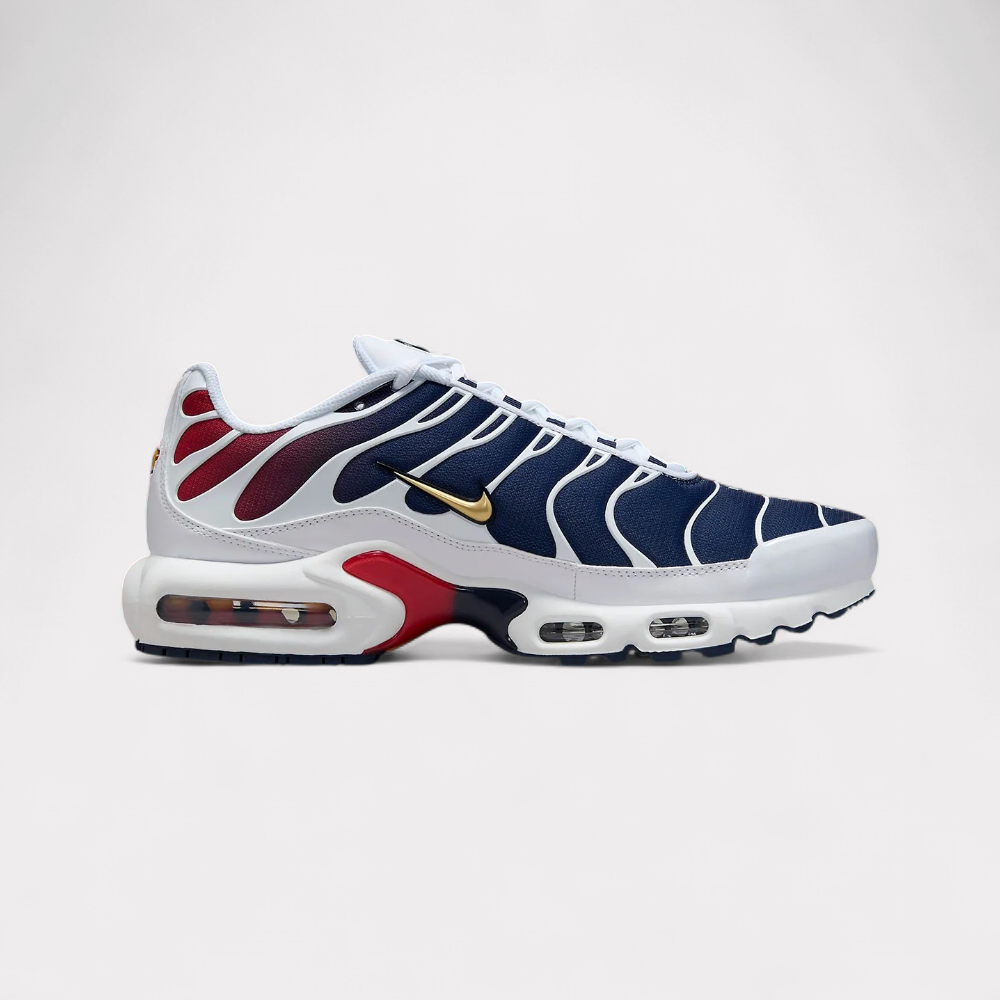 Nike Air Max Plus - PSG
