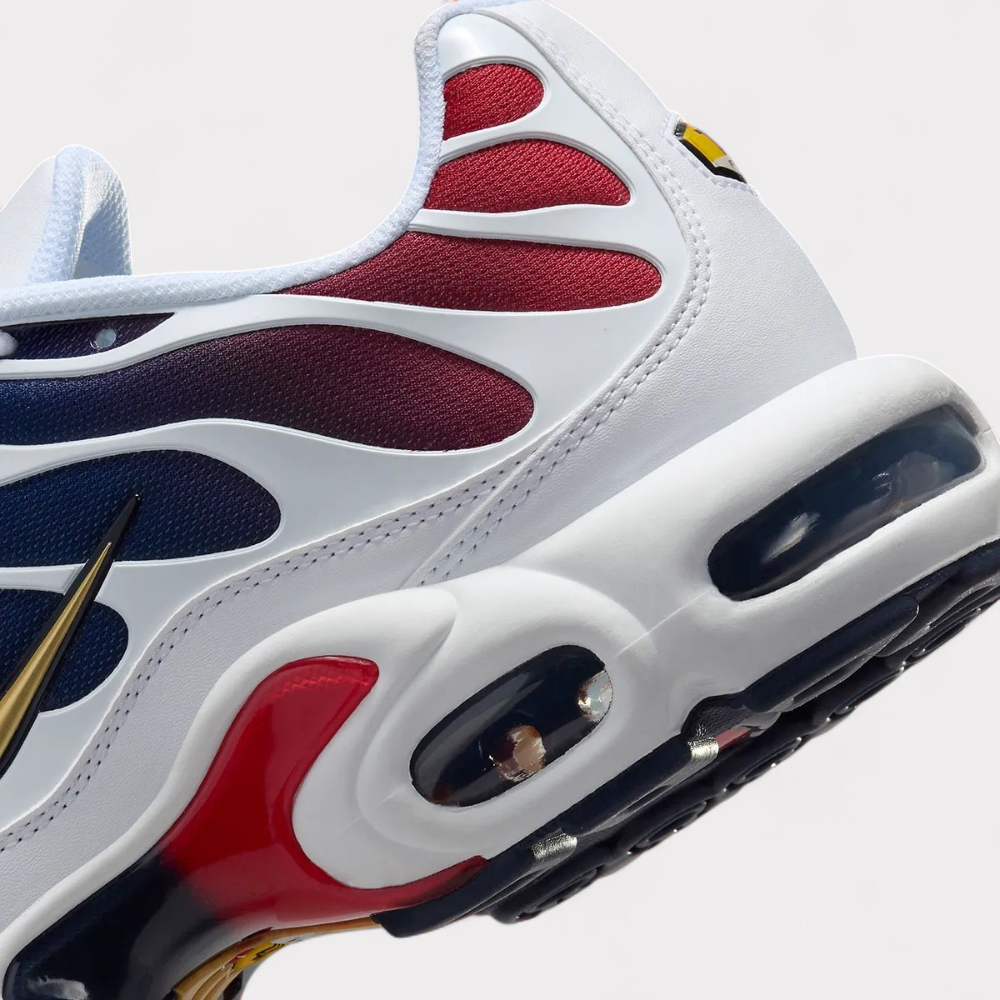 Nike Air Max Plus - PSG