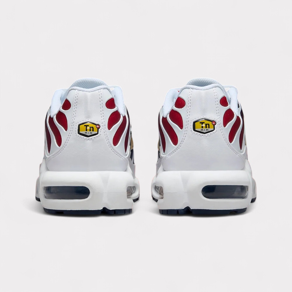 Nike Air Max Plus - PSG