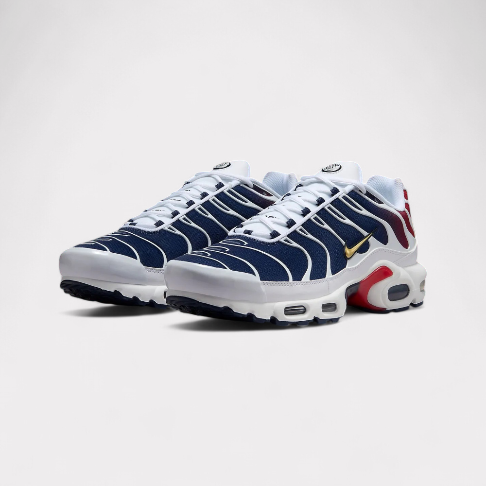 Nike Air Max Plus - PSG