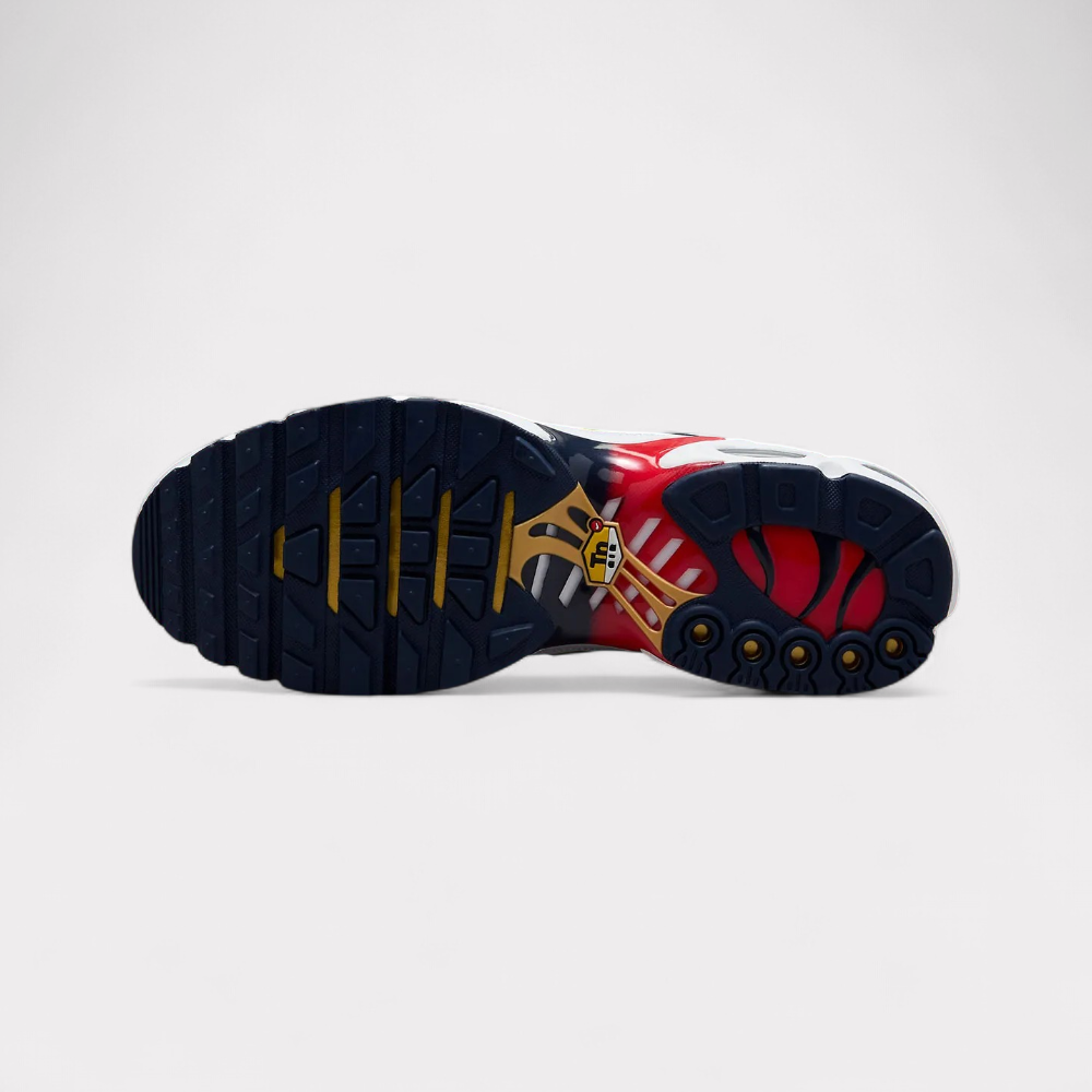 Nike Air Max Plus - PSG