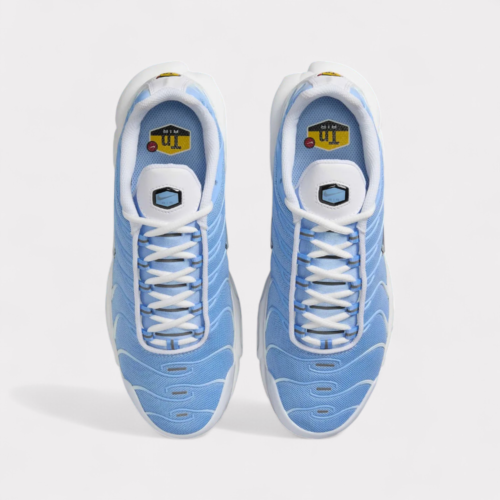 Nike Air Max Plus - Aluminium Blue