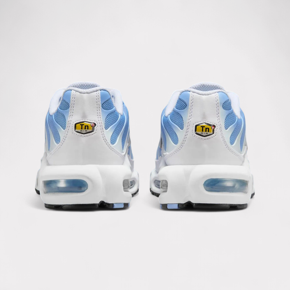 Nike Air Max Plus - Aluminium Blue