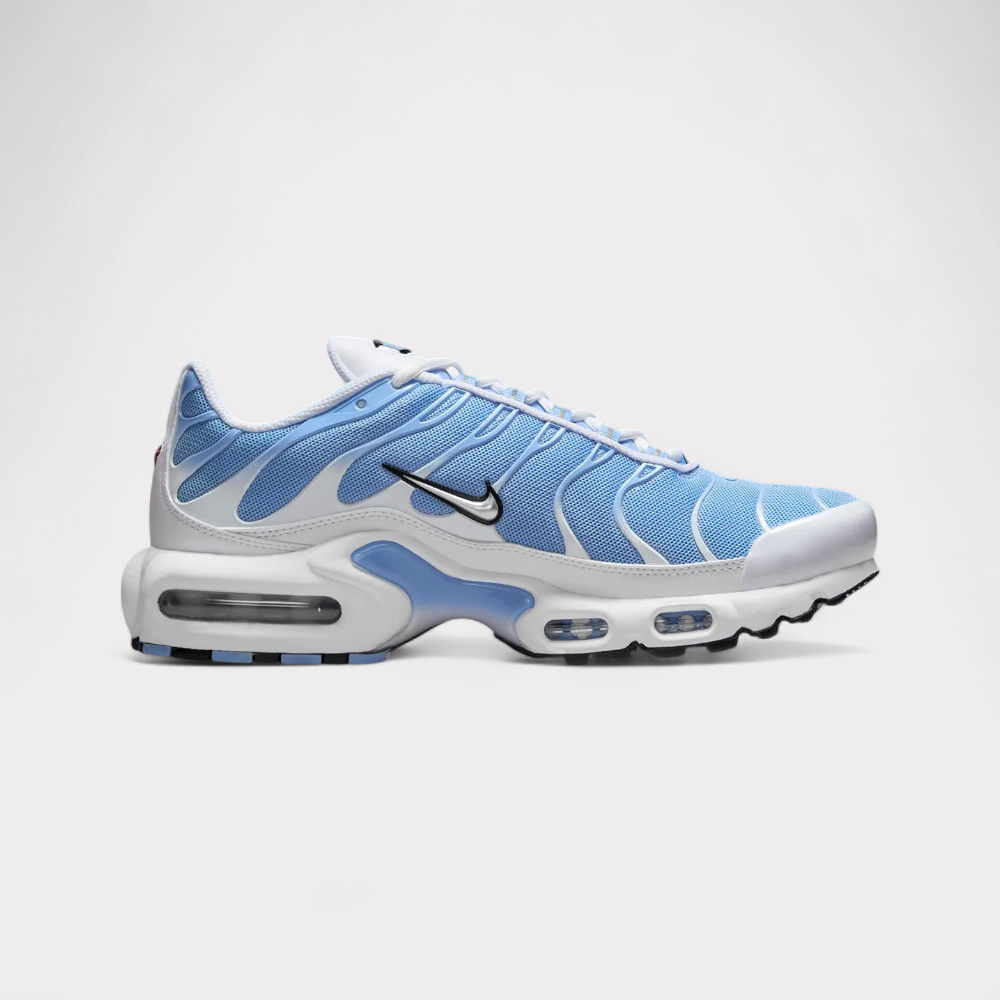 Nike Air Max Plus - Aluminium Blue
